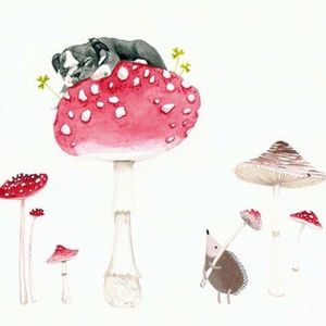 Meet your Posher, Posh